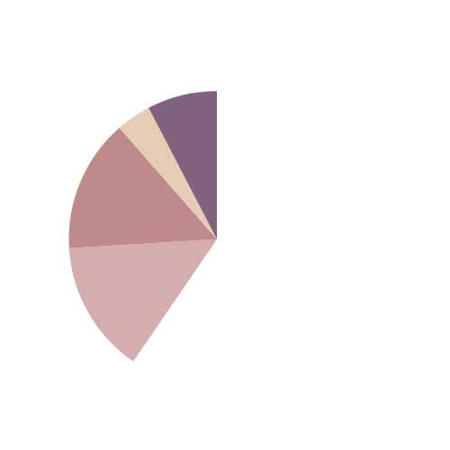 Budget Split
